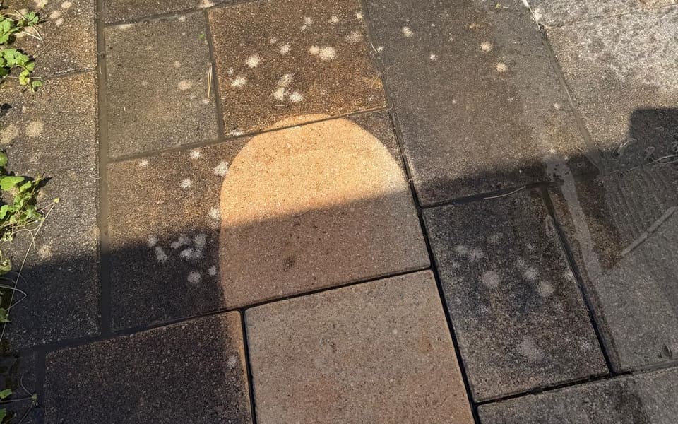 Pflasterfläche während der Reinigung — gereinigte helle Steine neben noch belegten dunklen