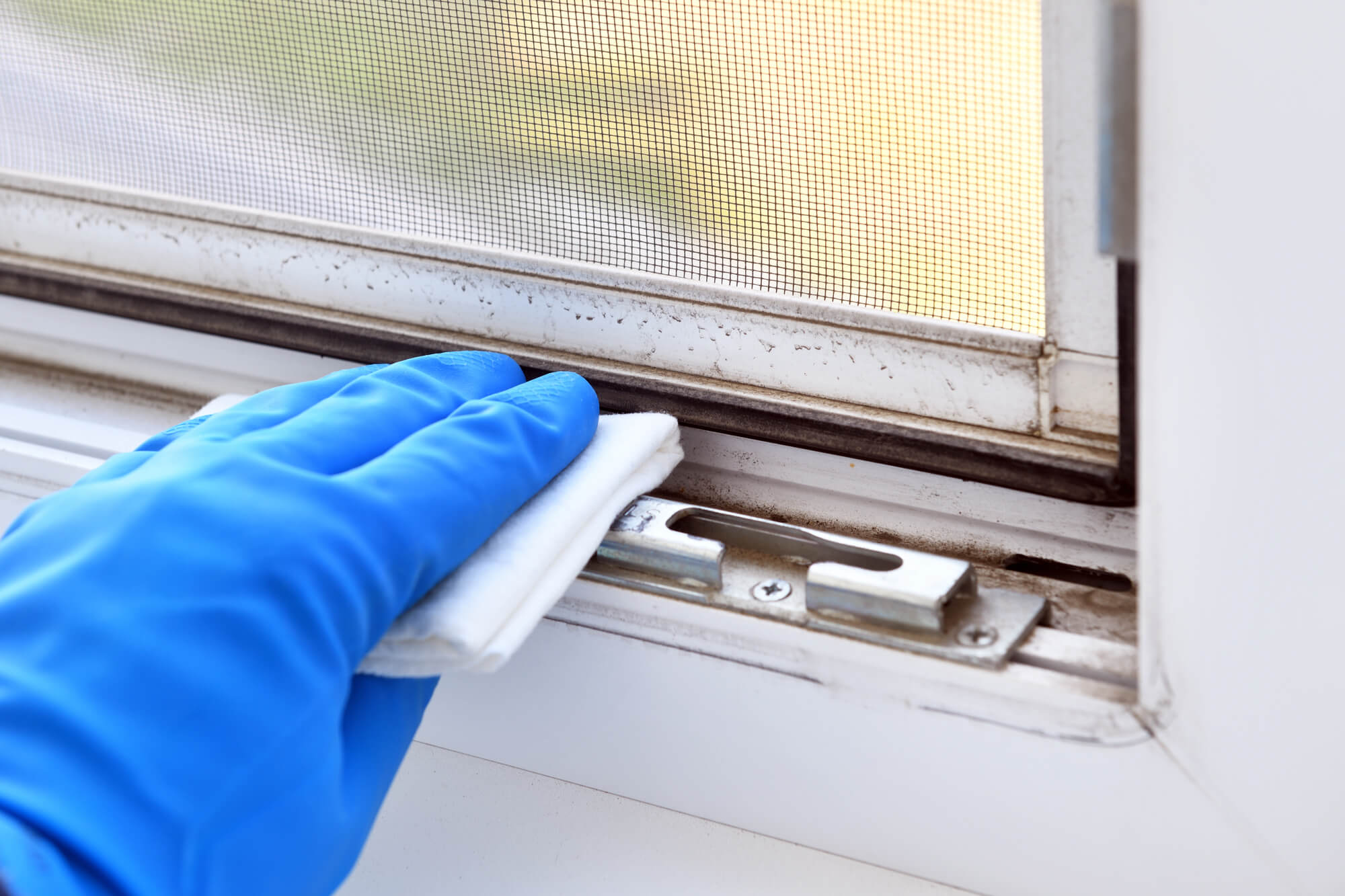 Fenster putzen Mainz Handschuh Lappen