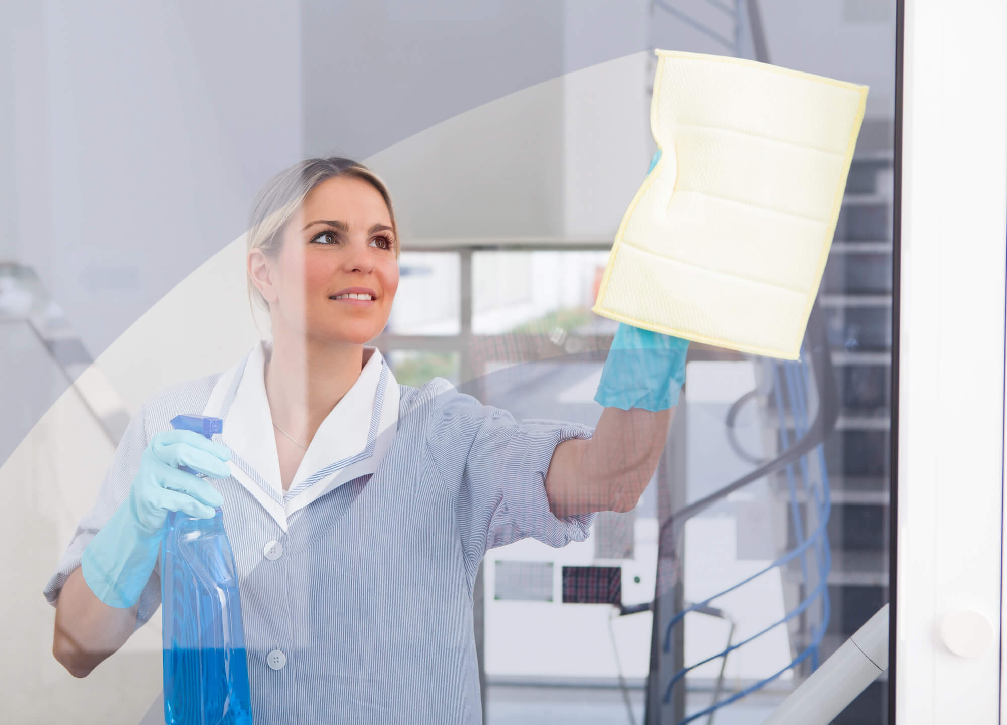 Professionell gereinigte Fenster